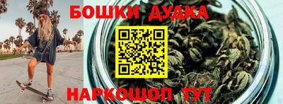 спиды Новодвинск