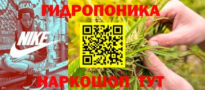 спиды Новодвинск