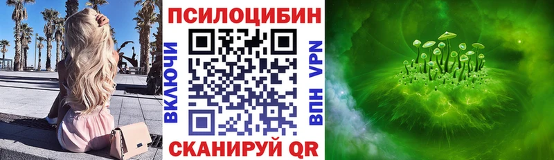 купить наркоту  Карасук  Галлюциногенные грибы GOLDEN TEACHER 