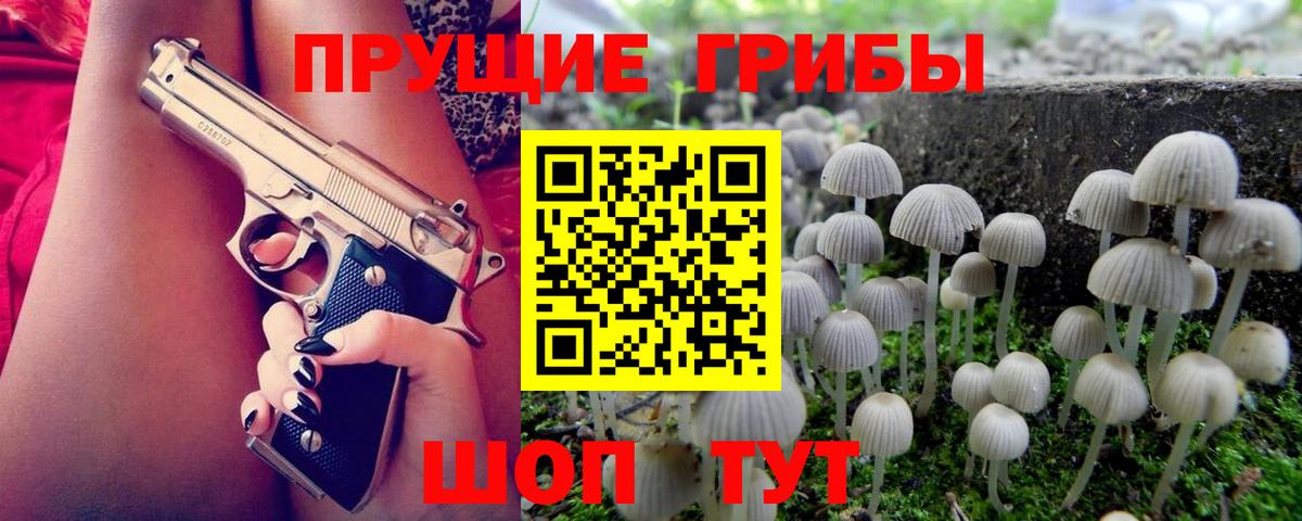 Псилоцибиновые грибы мухоморы  Псилоцибиновые грибы GOLDEN TEACHER  Карасук  Вход с VPN 